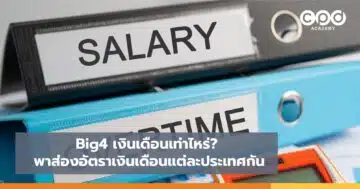 Big4 เงินเดือนเท่าไหร่? พาส่องอัตราเงินเดือนแต่ละประเทศกัน